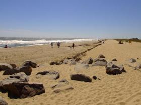 Strand beim Fort Fisher, Wilmington, NC
