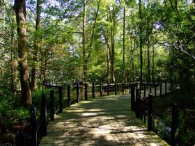 Eingezäunte Natur im Zooteil, Brookgreen Gardens, SC