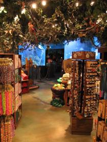 Rainforest Café, Sawgrass Mills Mall, FL