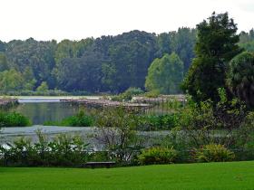 Bird City, Jungle Garden, Avery Island, LA