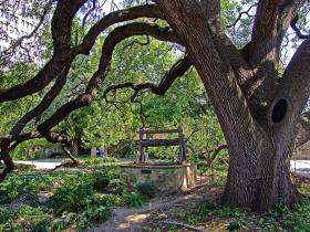 Einziger Brunnen im Alamo, San Antonio, TX