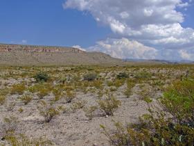 Wüste im Big Bend NP, TX