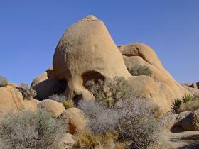 Skull Rock, Joshua Tree NP, CA