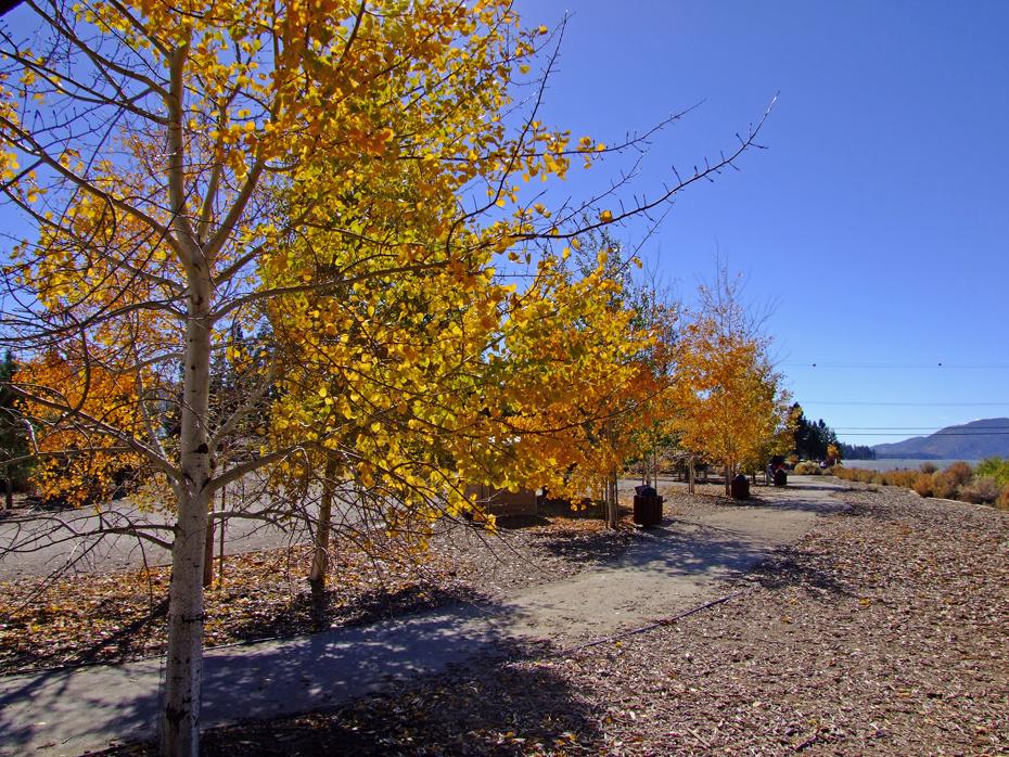 Indian Summer am Bear Lake, CA