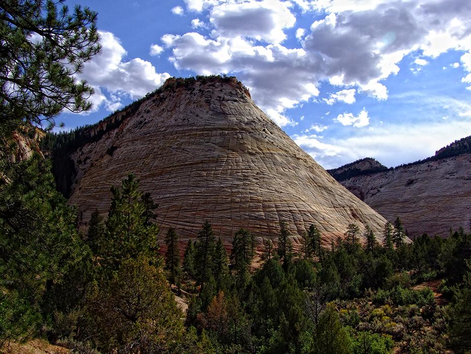 Felsen, Zion NP, UT