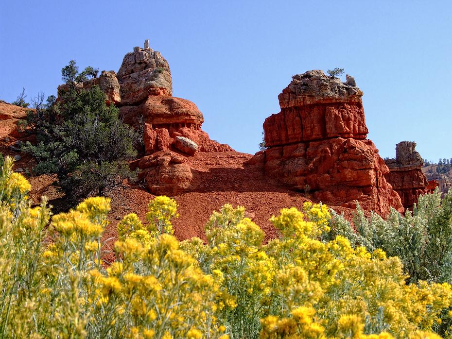 Felsen im Red Canyon SP, UT