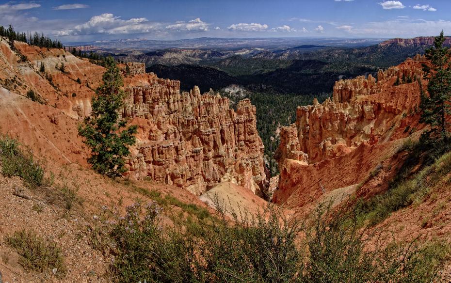 Felssäulen, Bryce NP, UT