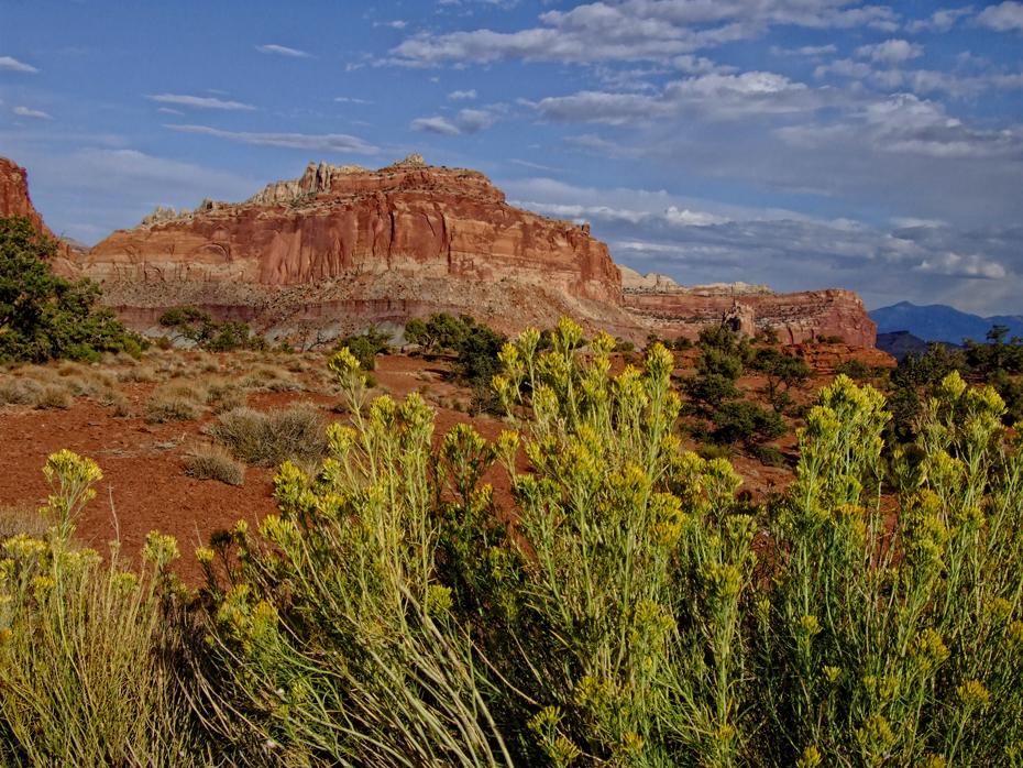Felswand im Capitol Reef NP, UT
