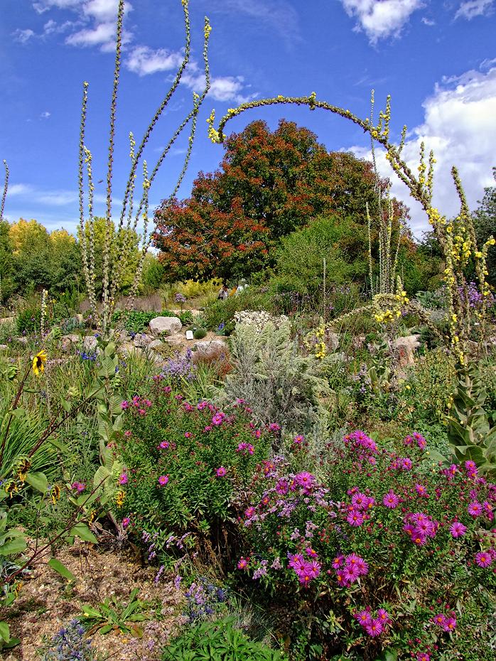 Hochzeitsgarten, Denver Botanical Garden, Denver, CO