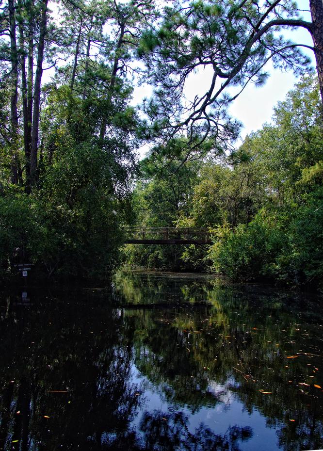 Bootshafen im Okefenokee Swap, GA