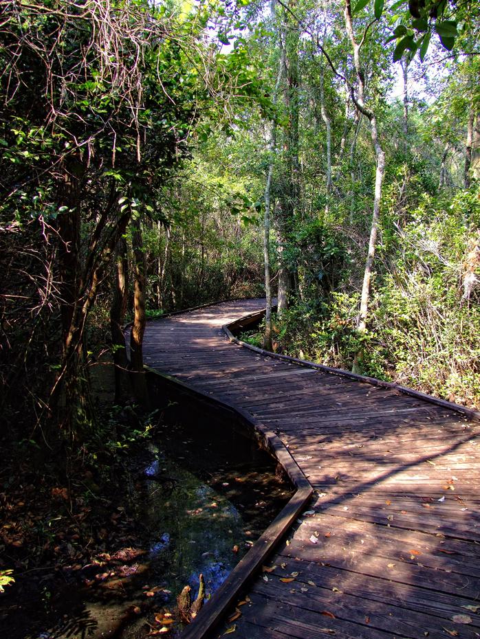 Boardwalk, Okefenokee Swap, GA