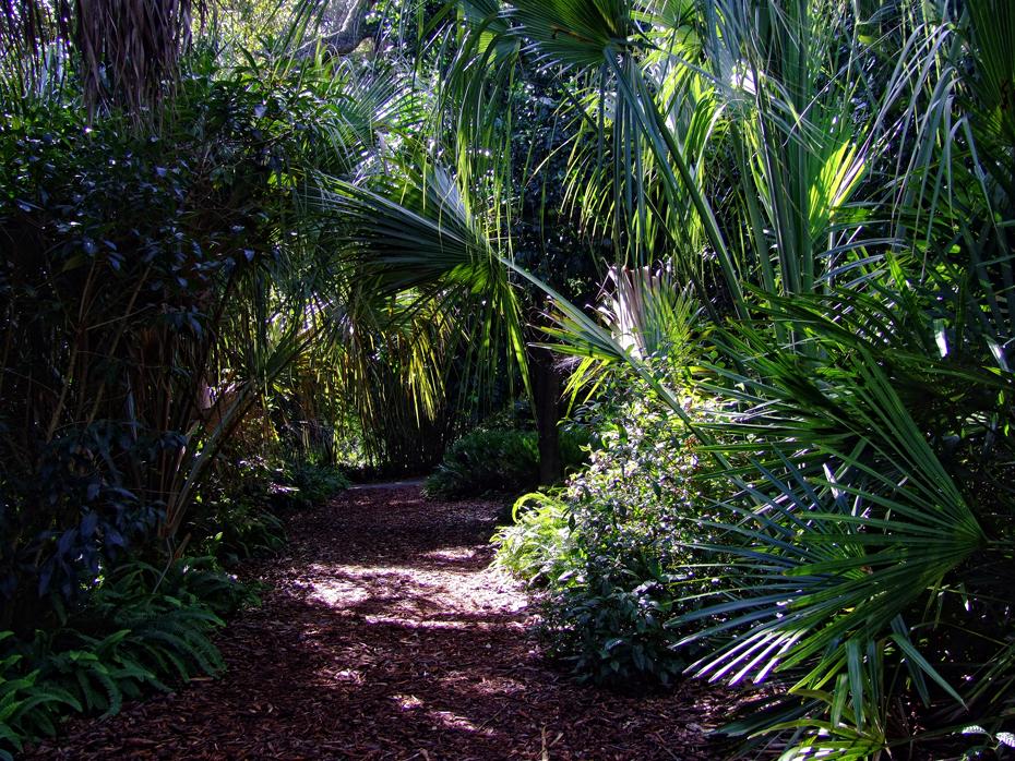 Farnallee im Bok Tower Sanctuary, FL
