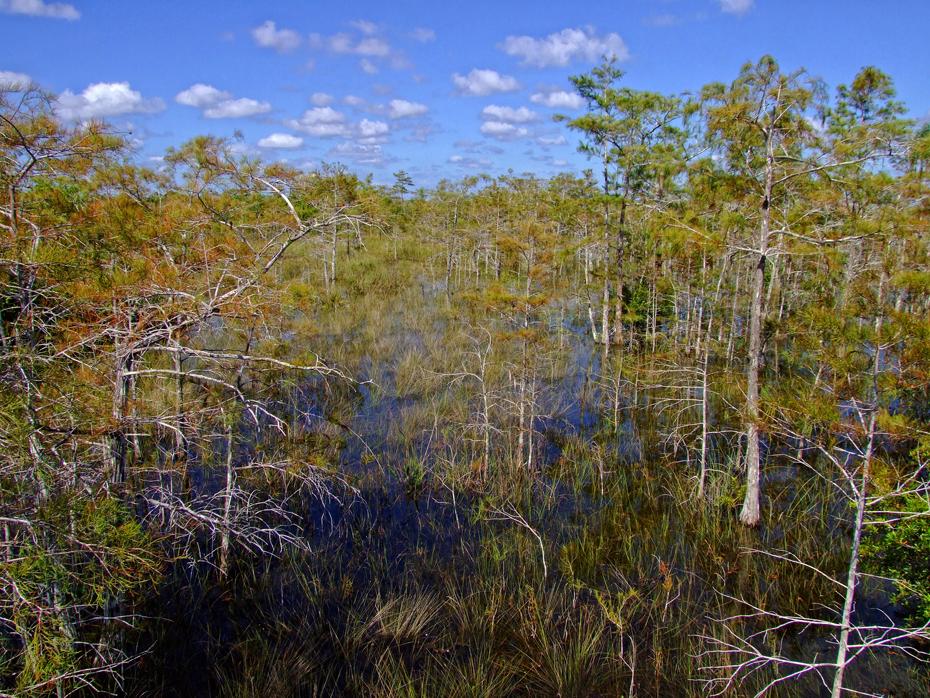 Everglades NP, FL