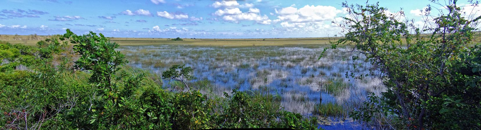 Everglades NP, FL