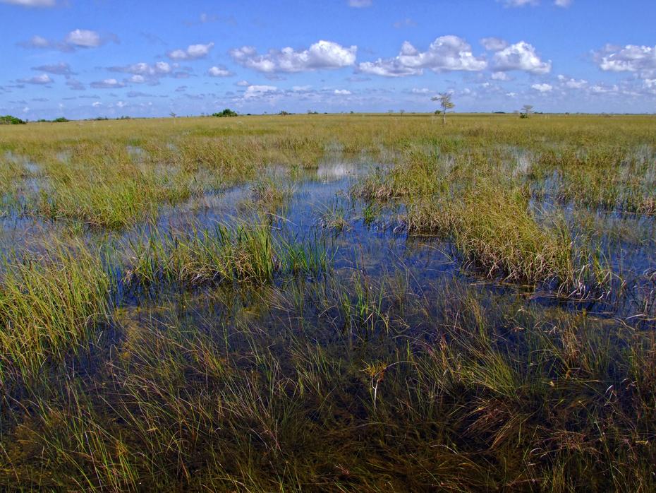 Everglades NP, FL