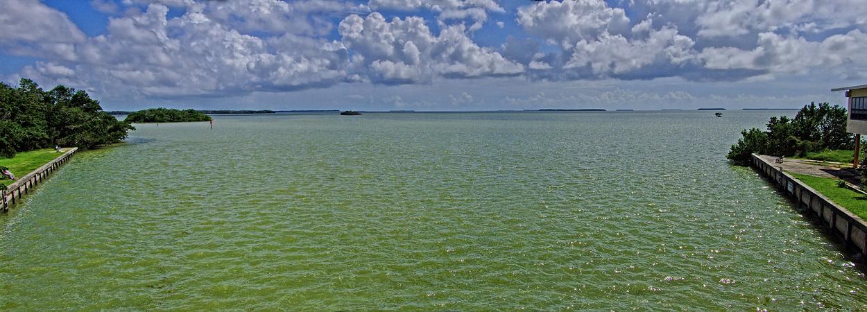 Meer in Flamnigo, Everglades NP, FL