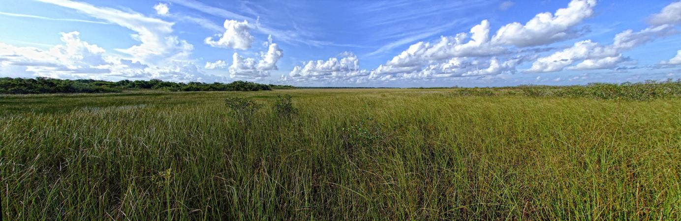 Everglades NP, FL