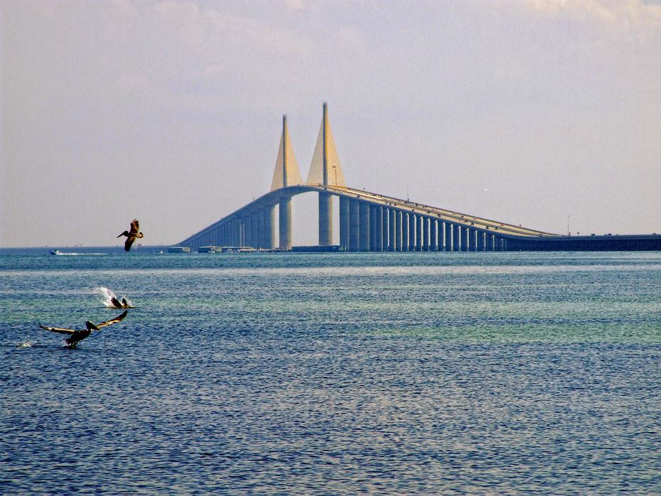Sunshine Skybridge, St. Petersburg, FL