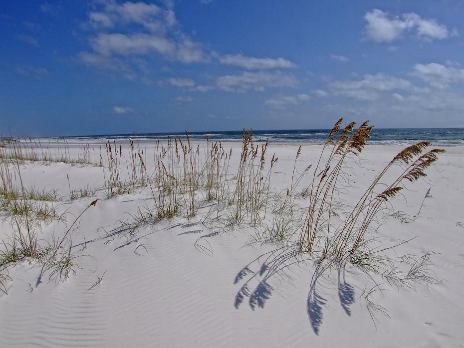 Düne am Pensacola Beach, FL