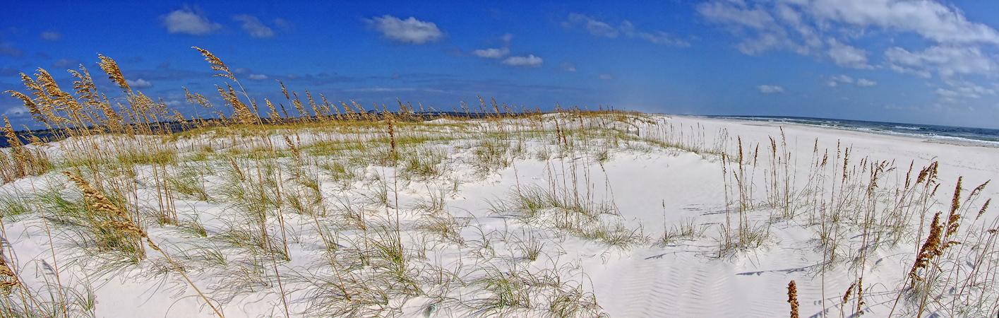 Düne am Pensacola Beach, FL