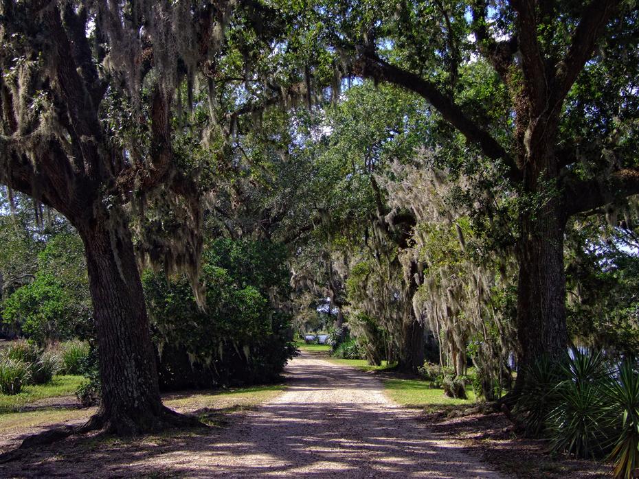 Rundweg im Jungle Gardens, Avery Island, LA