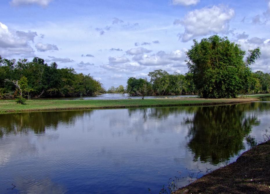 Blick auf den Bayou im Jungle Gardens, Avery Island, LA