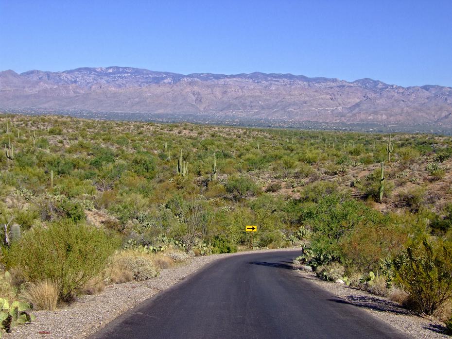Saguaro NP, AZ