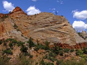 Felswand, Zion NP, UT