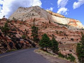 Felswand, Zion NP, UT