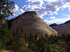 Felsen, Zion NP, UT