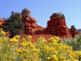 Felsen im Red Canyon SP, UT