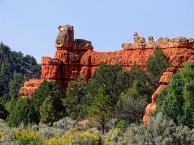 Felsen im Red Canyon SP, UT