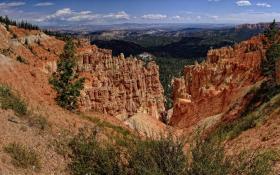 Felssäulen, Bryce NP, UT