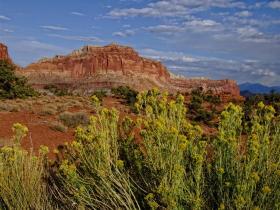 Felswand im Capitol Reef NP, UT
