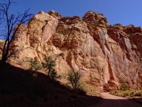 Felswand im Canyon des Capitol Reef NP, UT