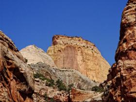 Der goldene Thron, Capitol Reef NP, UT