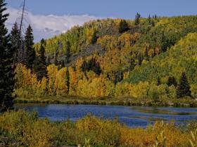 See mit gelben Bäumen am 'Frostberg', bei Delta, CO