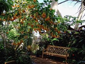 Glashaus, Denver Botanical Garden, Denver, CO