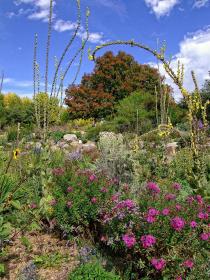 Hochzeitsgarten, Denver Botanical Garden, Denver, CO