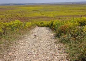 Viel Gras im Tallgrass NPS, KS