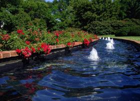 Springbrunnen, Missouri Botanical Garden, St. Louis, MO