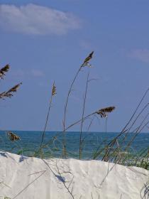 Strand, Fort Mantanza NM, FL