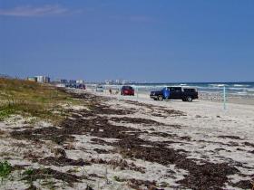 Der Strand beim Ponce Inlet Lighthouse, Daytona Beach Shores, FL
