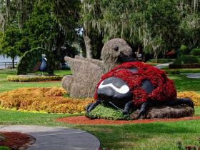 Blumenkunstwerk, Cypress Garden, FL