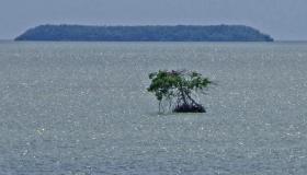 Einsame Insel, Flamingo, Everglades NP, FL