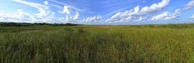 Everglades NP, FL