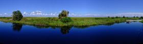 Alligator Alley, FL