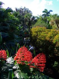 Cypress Garden, FL
