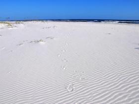 Pensacola Beach, FL