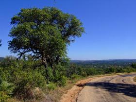 Willow City Loop, TX